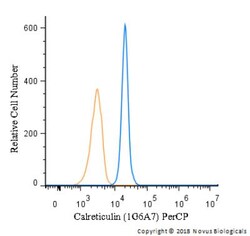 Calreticulin Antibody (1G6A7), PerCP, Novus Biologicals 0.1mL; PerCP:Antibodies,